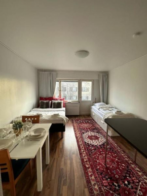 Arctic Cozy Studio in the City in Rovaniemi